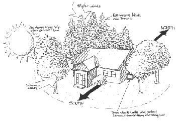 Illustration showing how trees planted around your home will conserve energy and lower the cost of utility bills.